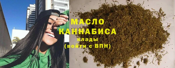 индика Богданович