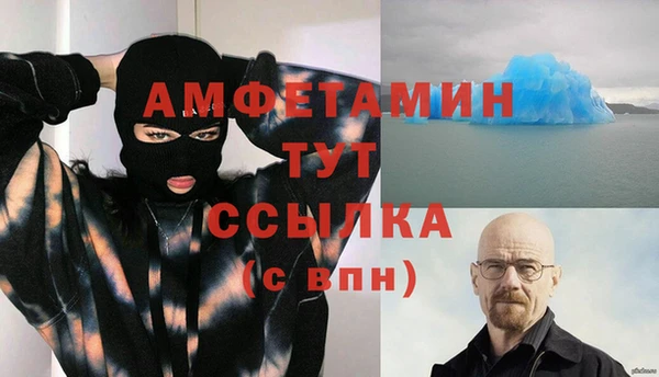 индика Богданович